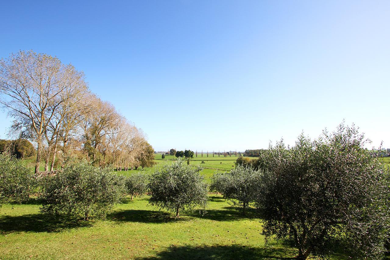 Ohaupo Olives Bed & Breakfast Dış mekan fotoğraf
